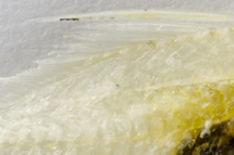 チリメンモンスター